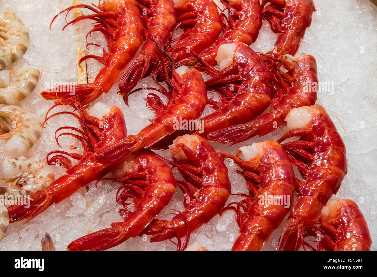 lineal Forberedelse Overdreven Red giant prawns for sale at a market in Madrid, Spain Stock Photo - Alamy