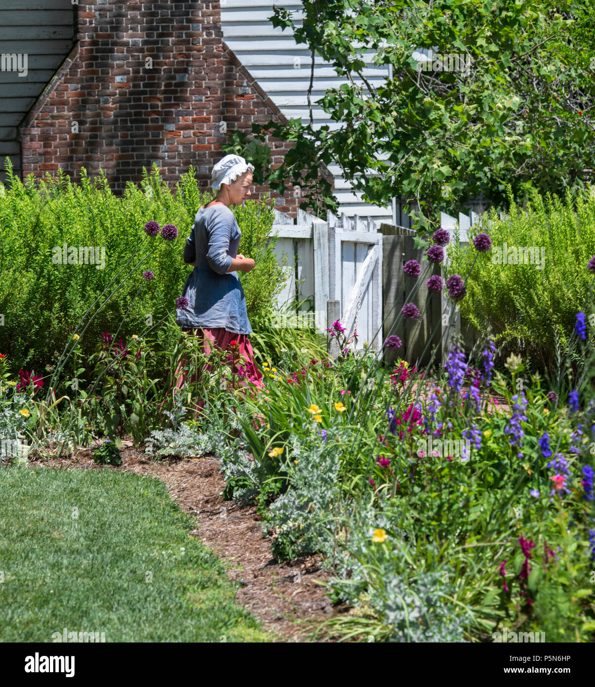 A  young Colonial Woman with a blue blouse, white cap and red skirt strolls through a flower garden in Colonial Williamsburg on a sunny summer day. Stock Photo