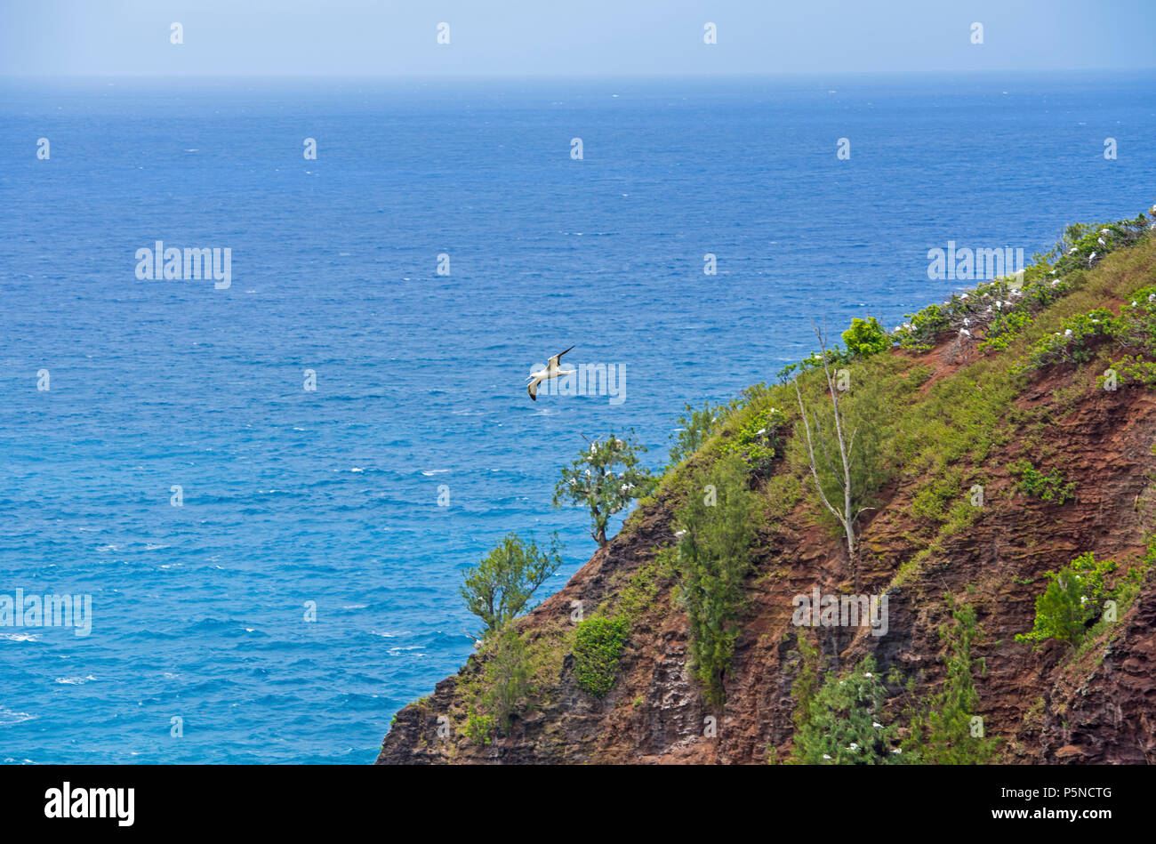 Napali Coast Kauai Hawaii Stock Photo Alamy