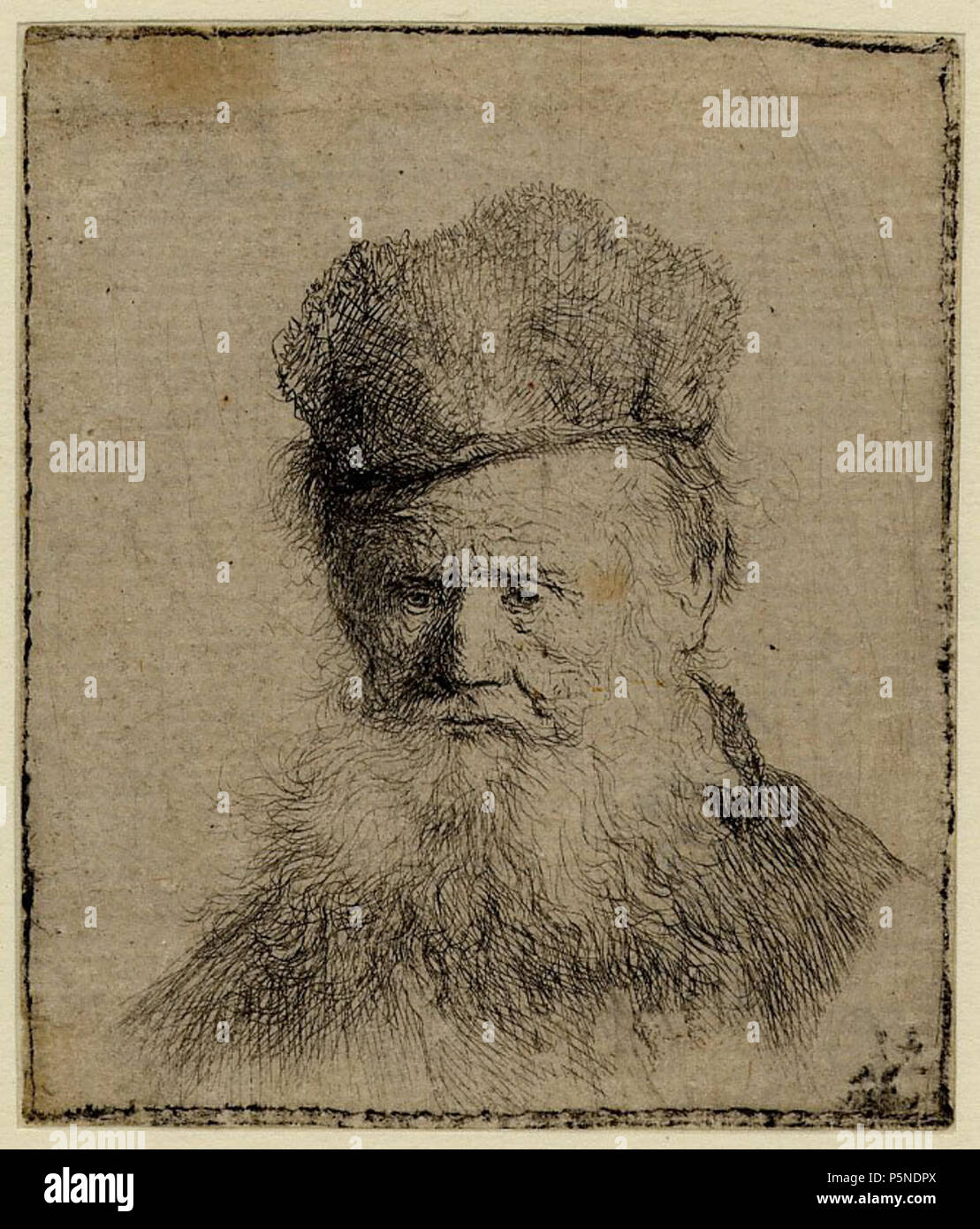Bust of an Old Man with a Fur Cap and Flowing Beard, looking downward ...