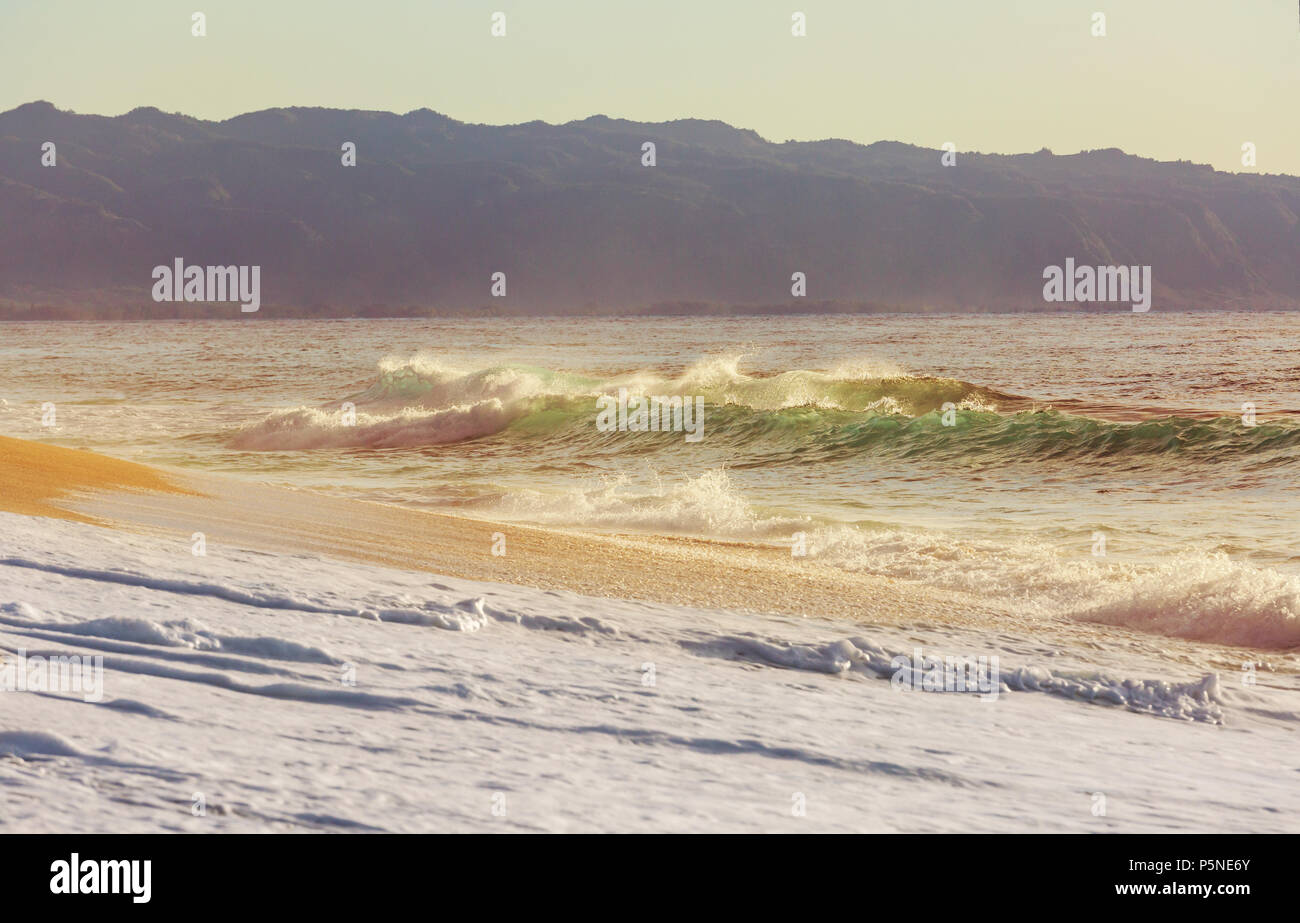 Amazing hawaiian beach Stock Photo - Alamy