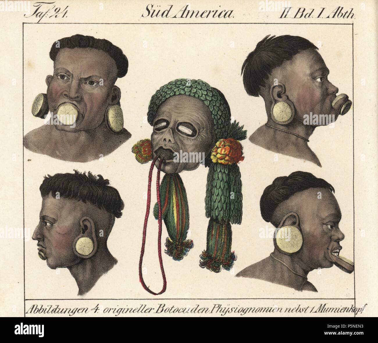 Four heads of Botocudo men from Eastern Brazil, South America, with their distinctive wooden disks in lips and ears. Mummified head of a Botocudo man. Handcoloured lithograph from Friedrich Wilhelm Goedsche's "Vollstaendige Völkergallerie in getreuen Abbildungen" (Complete Gallery of Peoples in True Pictures), Meissen, circa 1835-1840. Goedsche (1785-1863) was a German writer, bookseller and publisher in Meissen. Many of the illustrations were adapted from Bertuch's "Bilderbuch fur Kinder" and others. Stock Photo