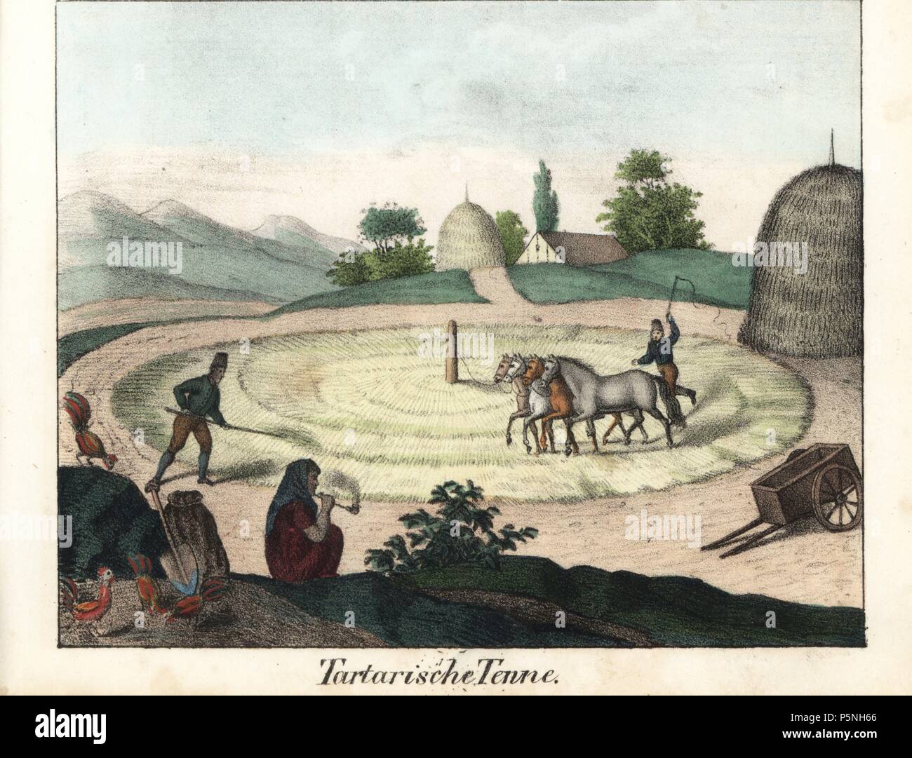Tatar farmers threshing grain with a team of horses in front of farms, haystacks and the Caucasus mountains. Handcoloured lithograph from Friedrich Wilhelm Goedsche's 'Vollstaendige Völkergallerie in getreuen Abbildungen' (Complete Gallery of Peoples in True Pictures), Meissen, circa 1835-1840. Goedsche (1785-1863) was a German writer, bookseller and publisher in Meissen. Many of the illustrations were adapted from Bertuch's 'Bilderbuch fur Kinder' and others. Stock Photo