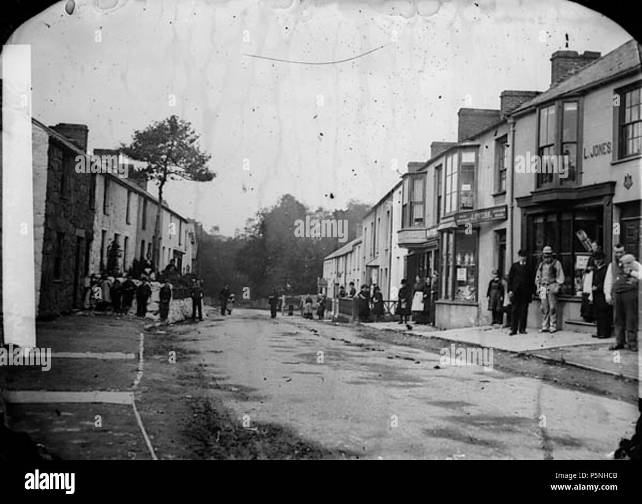 [Beaumaris Road, Menai Bridge] [graphic].. 1 negative glass, wet collodion, b&w ; 12 x 16.5 cm