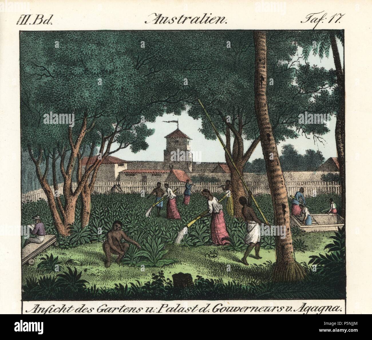 https://c8.alamy.com/comp/P5NJJM/view-of-chamorro-natives-working-in-the-gardens-of-the-spanish-governors-palace-agagna-guam-handcoloured-lithograph-from-friedrich-wilhelm-goedsches-vollstaendige-vlkergallerie-in-getreuen-abbildungen-complete-gallery-of-peoples-in-true-pictures-meissen-circa-1835-1840-goedsche-1785-1863-was-a-german-writer-bookseller-and-publisher-in-meissen-illustration-from-freycinets-voyage-autour-du-monde-1824-P5NJJM.jpg