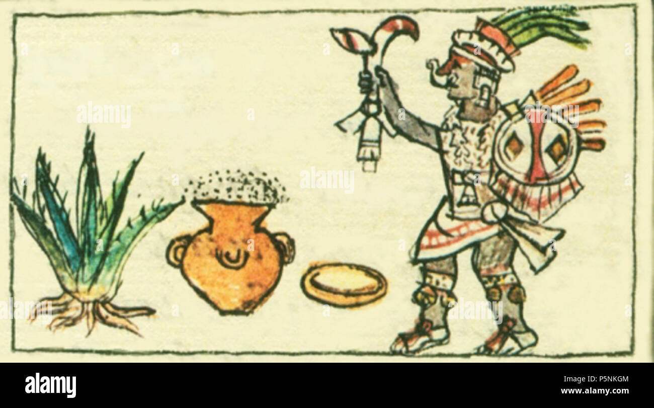 N/A. English: A drawing shows Mayahuel, goddess of the maguey, with a mature agave and a pot of fermented pulque. The first liquid that pours into the heart of the maguey is called aguamiel (literally, honey water); legend says that aguamiel is Mayahuel's blood. Français : Dessin montrant Mayahuel, déesse aztèque de l'agave, avec un plant mature et un pot de pulque : boisson fermentée issue du suc provenant du cœur de l'agave. Ce suc est appelé aguamiel (sirop d'agave, littéralement, eau de miel). La légende dit que l'aguamiel est le sang de Mayahuel. circa 1530. Unknown 70 Aguamiel00 Stock Photo