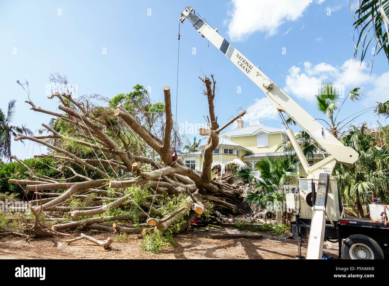 Naples Florida,Crayton Road,Hurricane Irma,wind damage destruction aftermath,fallen trees,removal,crane,storm disaster recovery cleanup,front yard,FL1 Stock Photo