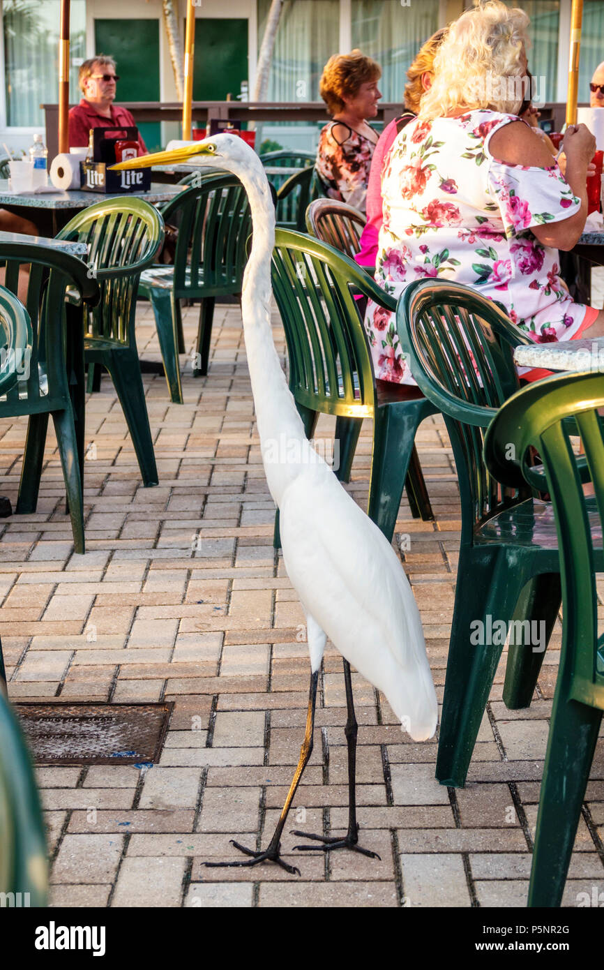 Florida,Fort Ft. Myers Beach,Wyndham Garden,hotel,resort,Pincher's,restaurant restaurants food dining cafe cafes,al fresco,sidewalk outside tables din Stock Photo