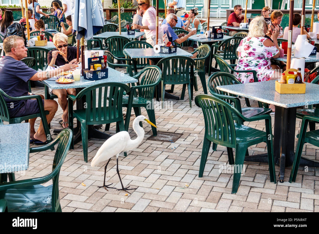 Florida,Fort Ft. Myers Beach,Wyndham Garden,hotel hotels lodging inn motel motels,resort,Pincher's,restaurant restaurants food dining eating out cafe Stock Photo