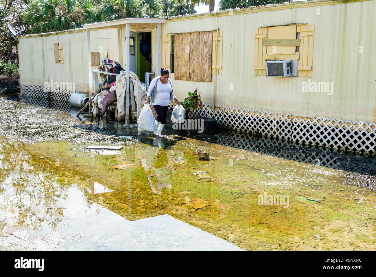 White Trash Cooking: From Trailer Parks To Food Trucks