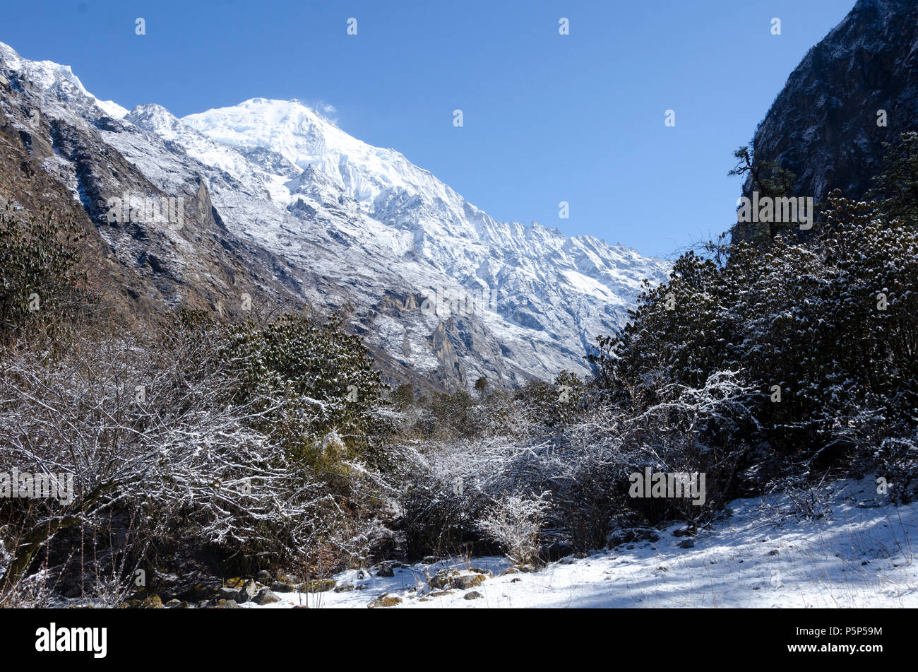 Ghode Tabela High Resolution Stock Photography and Images - Alamy