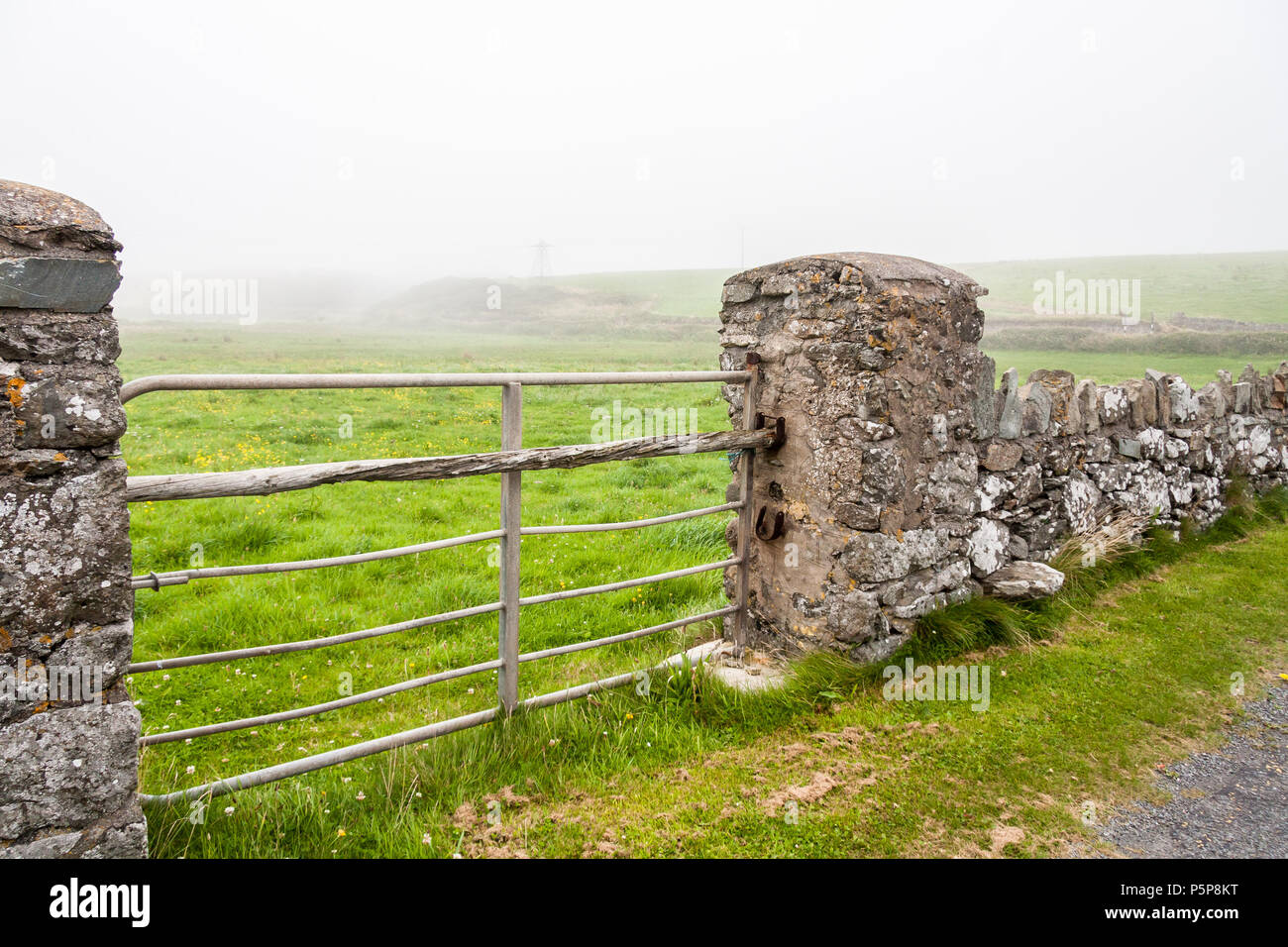 Stone wall and gate in mist  fog Annestown Ireland Stock Photo