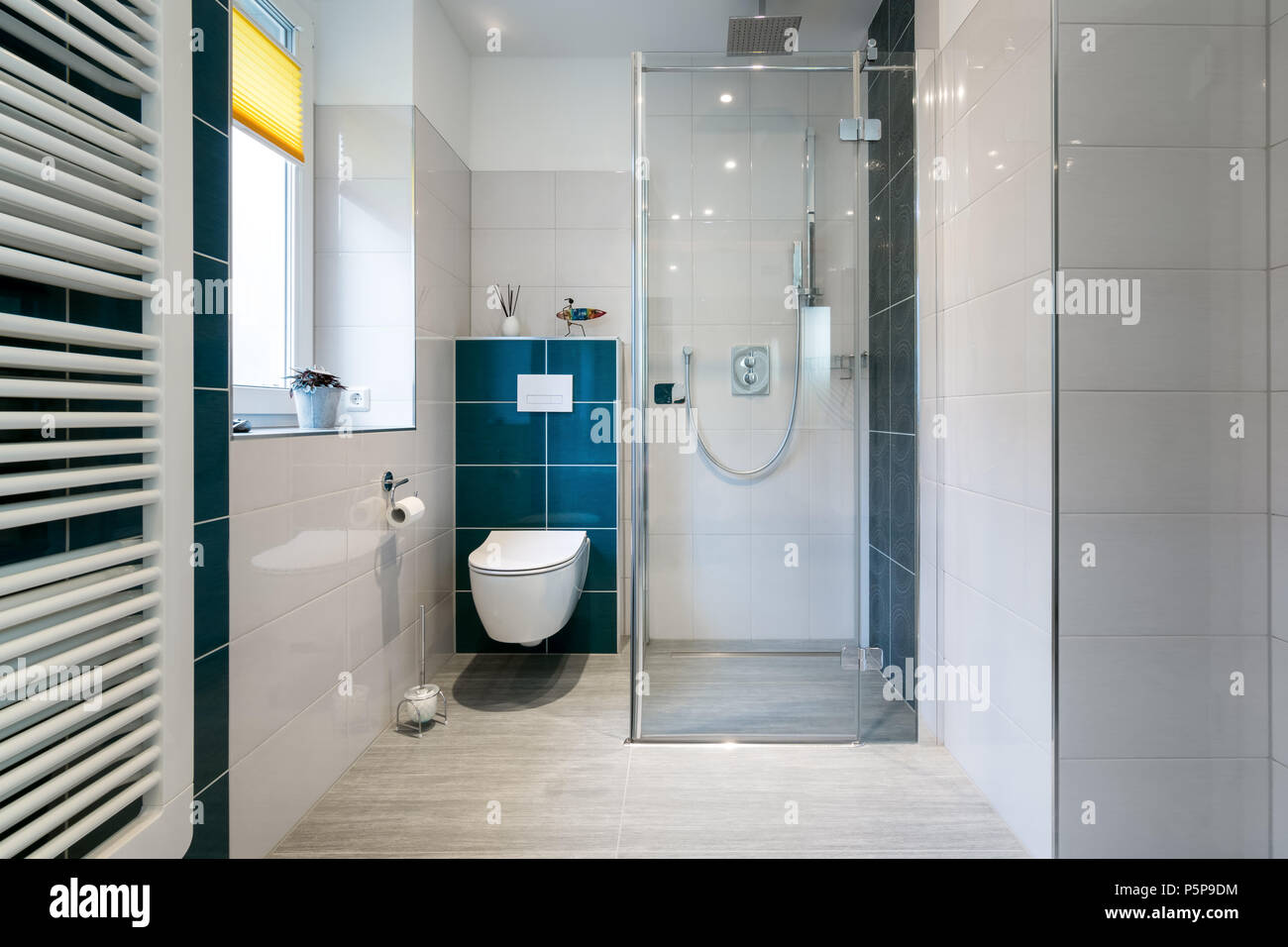 Horizontal shot of a luxury bathroom with large, walkin shower. Blue