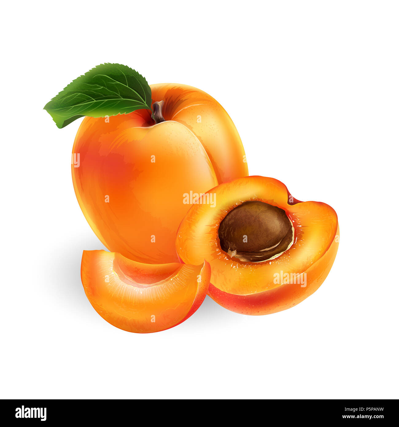 Apricot on white background Stock Photo - Alamy