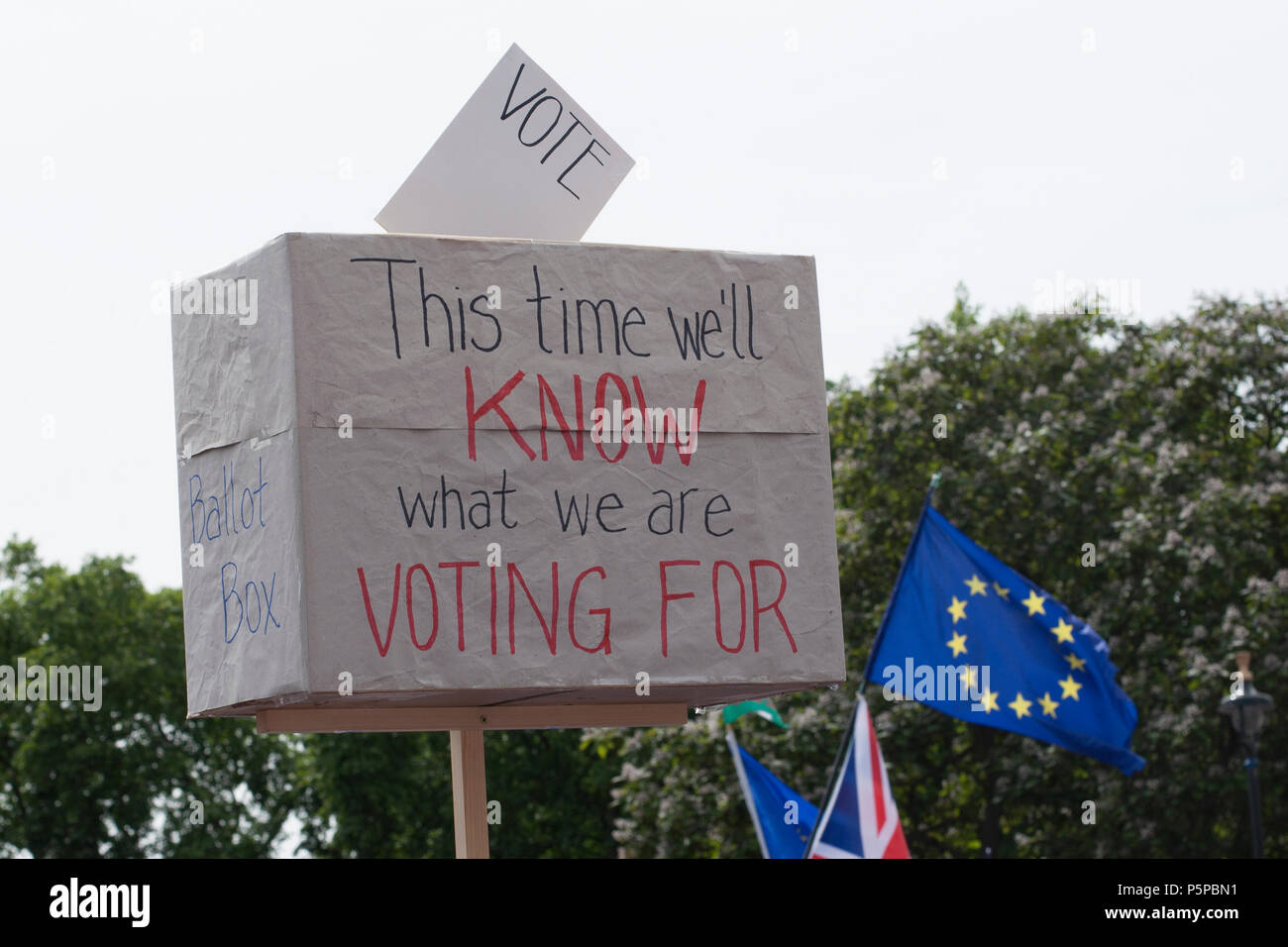 People's Vote March, London, UK, 23rd June 2018. Ballot box -This time we will know what we are voting for. Stock Photo