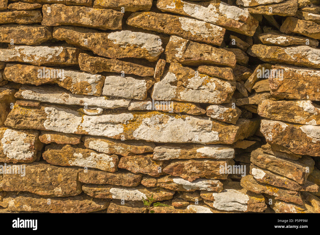 Cotswold Stone Wall Stock Photo