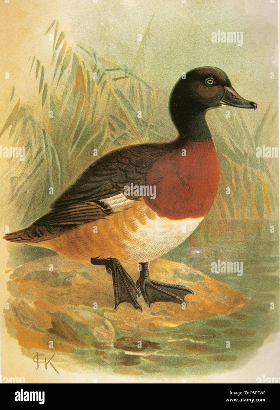 1842 1899 n a hi-res stock photography and images - Alamy