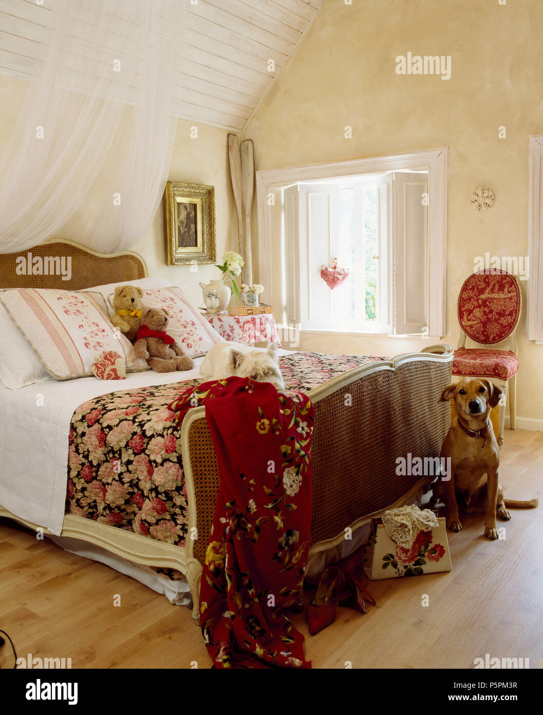 Dogs in country bedroom with white voile mosquito net above antique Bergere bed with rose patterned quilt Stock Photo