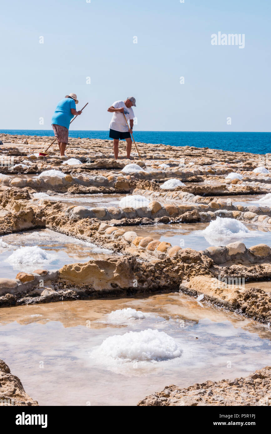 Harvesting sea salt from the ancient salt pans in Marsalforn, Gozo
