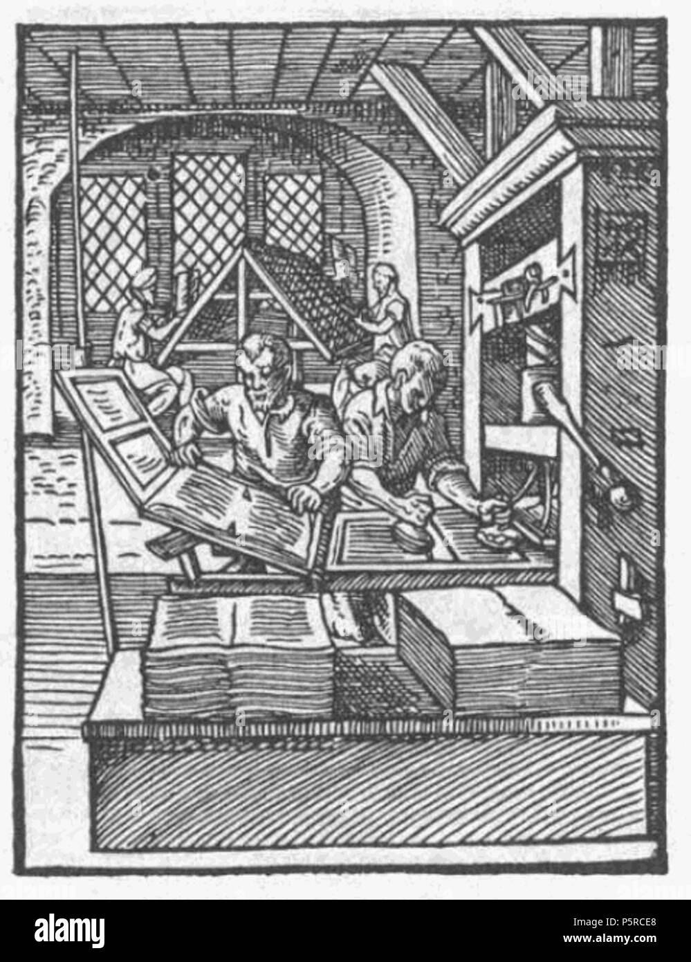 247 Buchdrucker-1568 Stock Photo