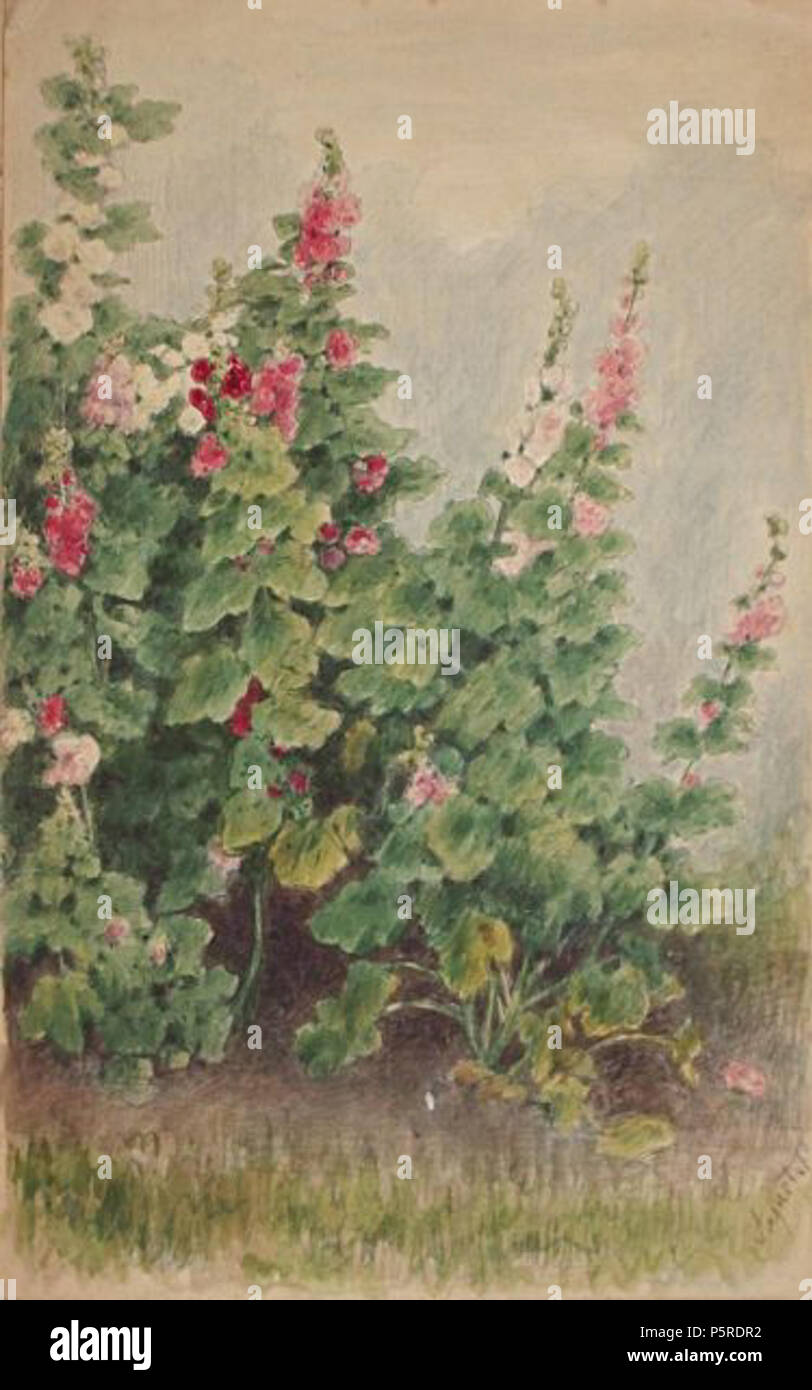 263 Cajetan Schweitzer - Blütenstengel 1870 Stock Photo