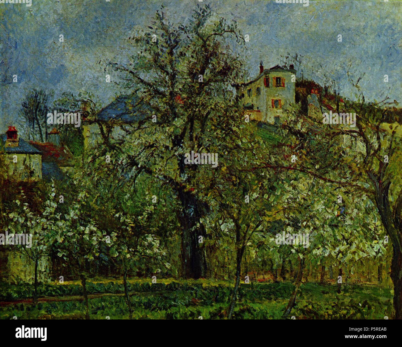 絵画 Camille Pissarro Printemps, Pruniers en Printemps Pissarro: Idyllic Springtime Beauty - McMaster