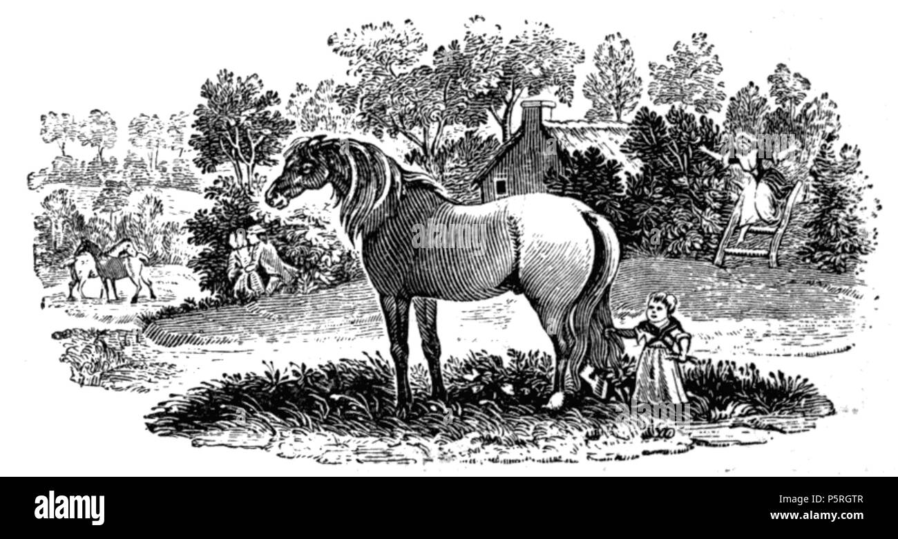 235 Brief History of Woodengraving Bewick Tailpiece Stock Photo Alamy