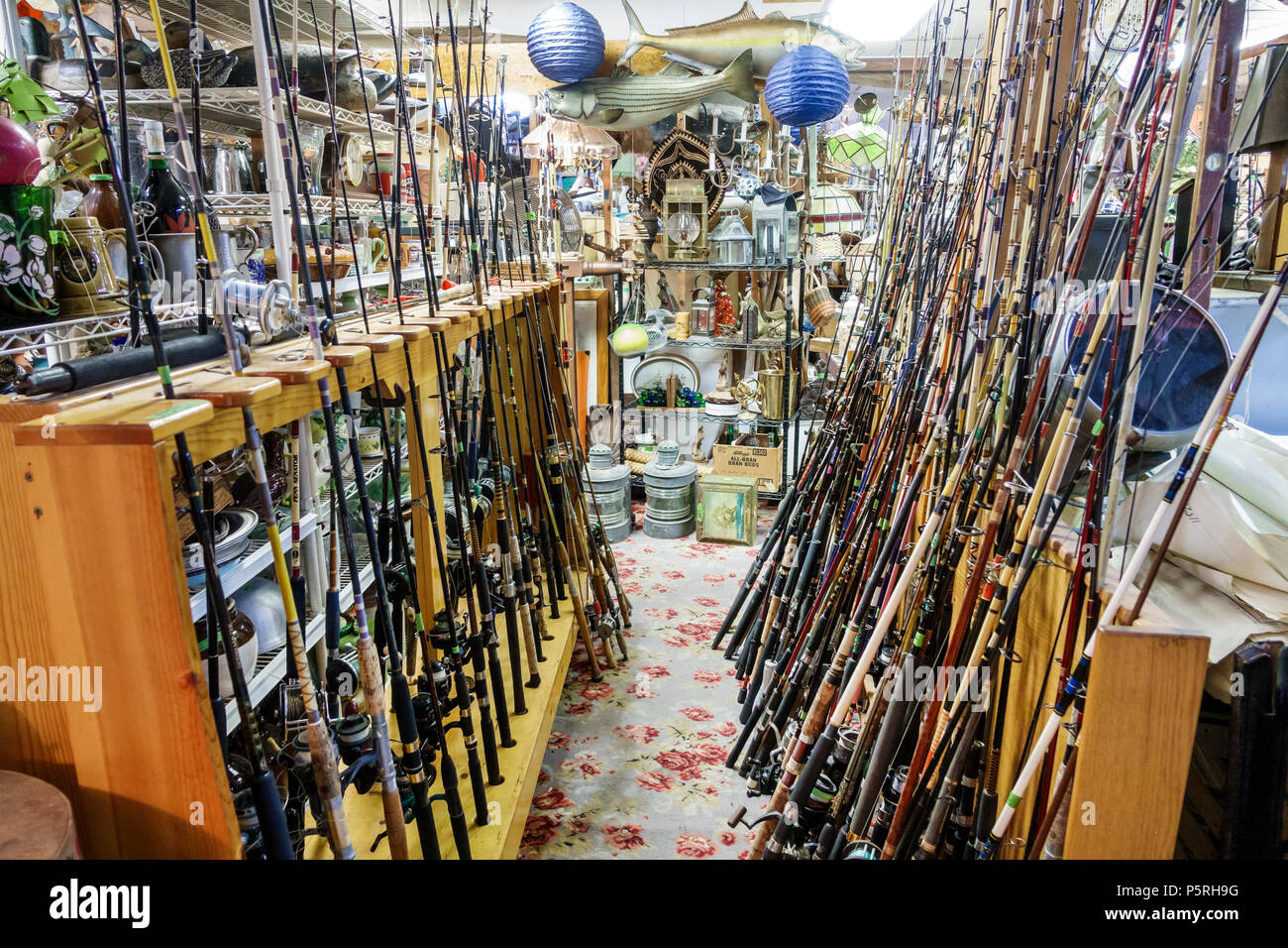 Crows nest hires stock photography and images Alamy