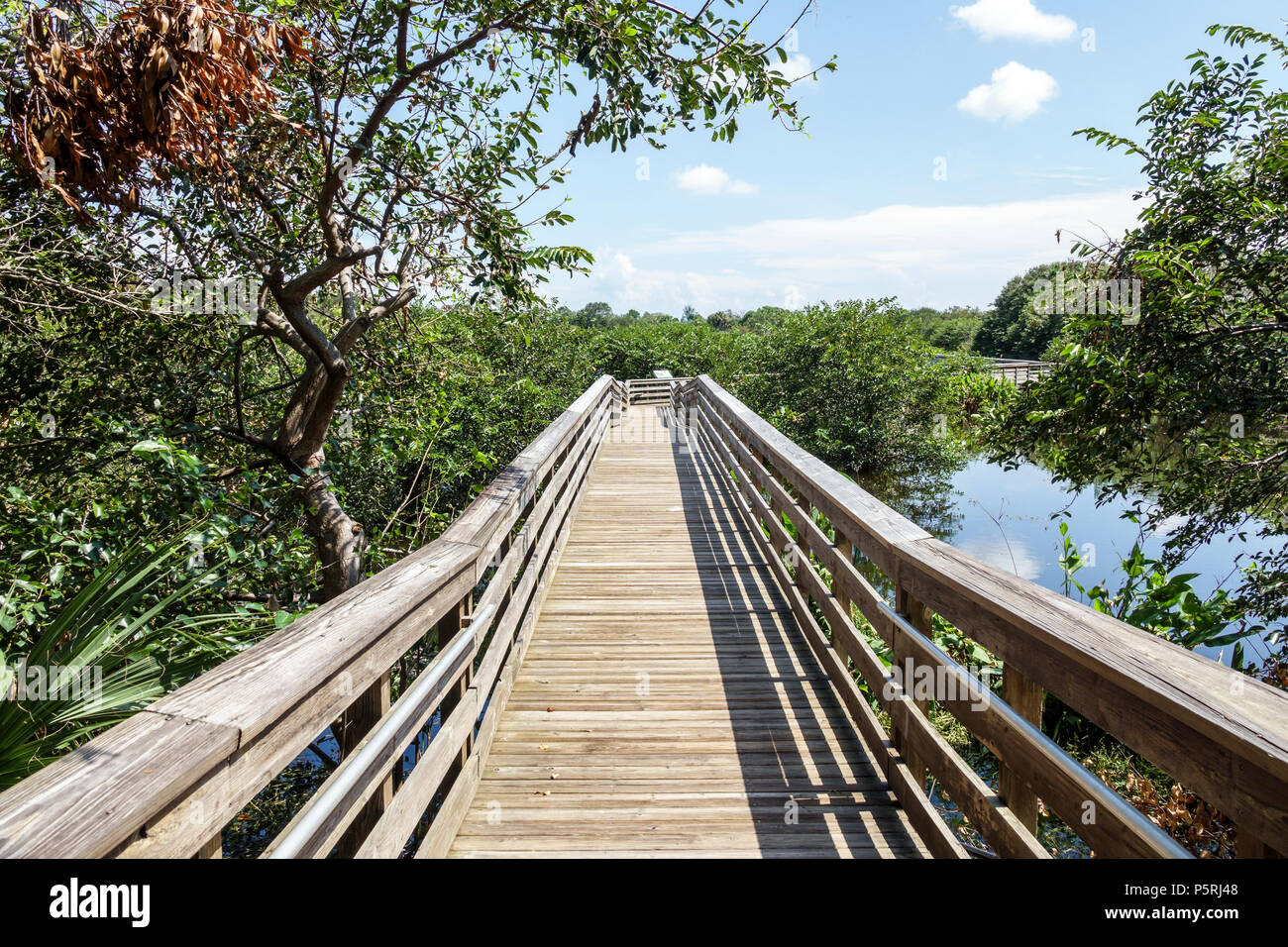 Delray Beach Florida,Wakodahatchee Wetlands,nature wildlife preserve