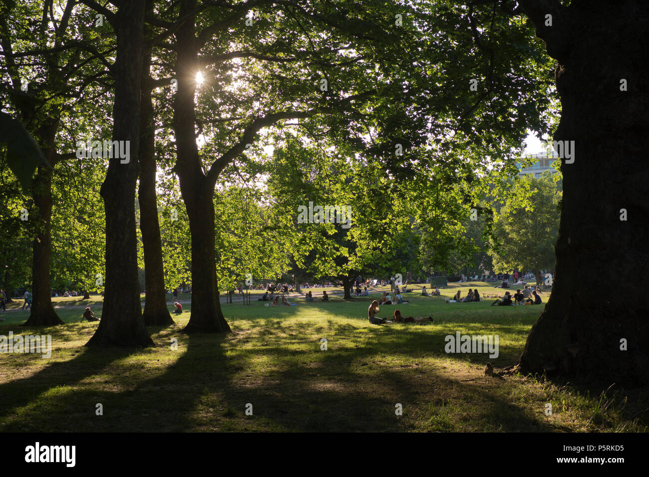 Summer afternoon in London's Green Park England Stock Photo