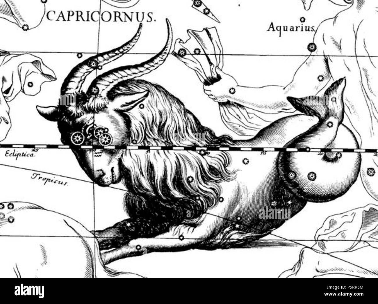 N/A. The en:Capricornus constellation from Uranographia by Johannes Hevelius. The view is mirrored following the tradition of celestial globes, showing the celestial sphere in a view from 'ouside' . 1690. Johannes Hevelius 269 Capricorn Hevelius Stock Photo