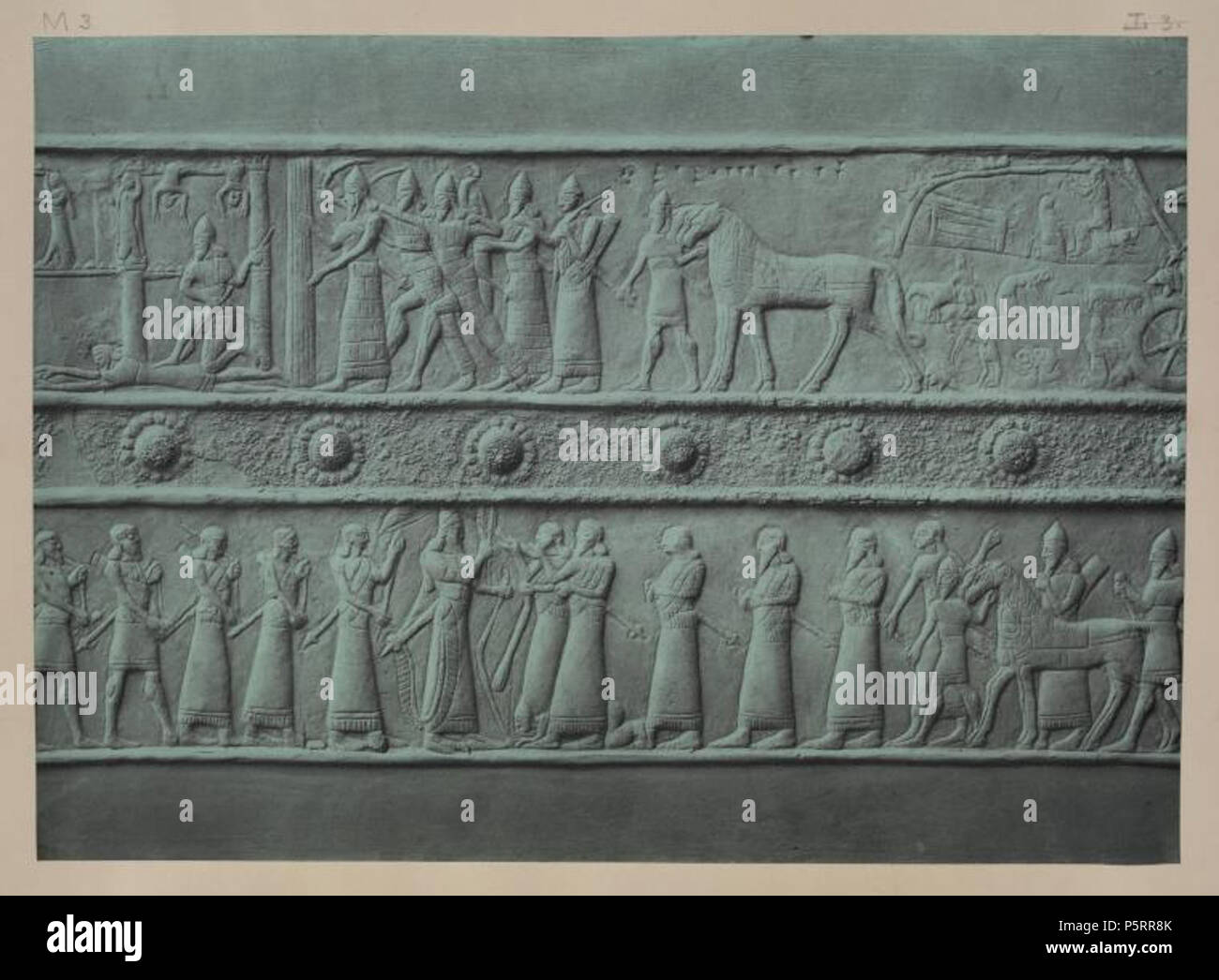 Featured image of post Nyplorg
