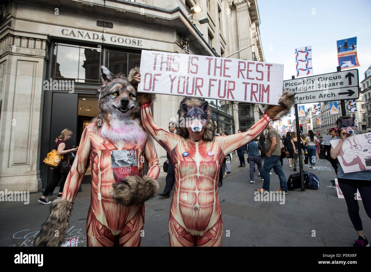 Campaigner's against Canada Goose clothing brand use of coyote-fur in clothing products protest outside the Regent Street branch in central London, UK Stock Photo