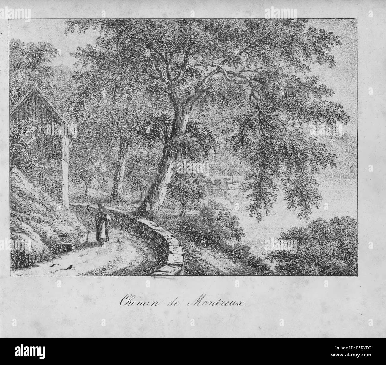 N/A. Français : Livre: 'La Suisse en miniature : 100 vues ...