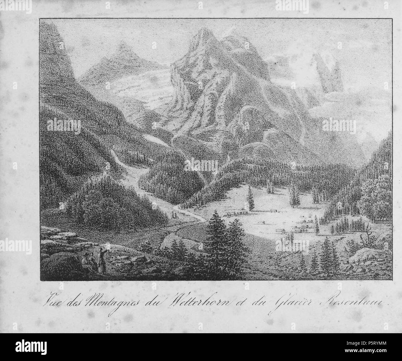 N/A. Français : Livre: 'La Suisse en miniature : 100 vues ...