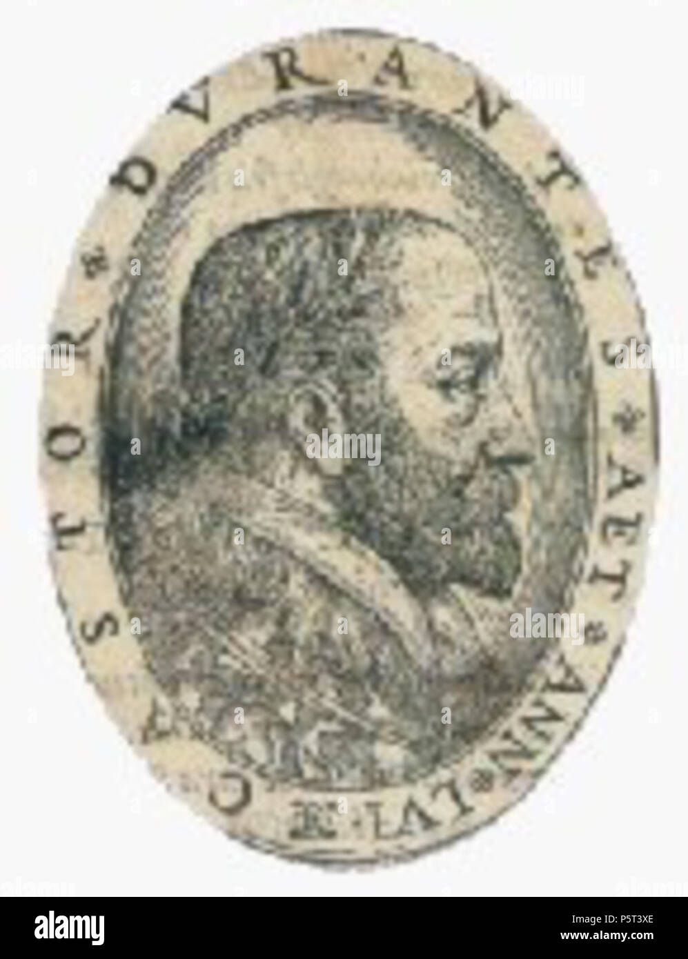 N/A. English: Engraving of Italian physician Castore Durante (1529-1590) . 9 December 2013, 12:50:06. Unknown 281 Castore Durante Stock Photo