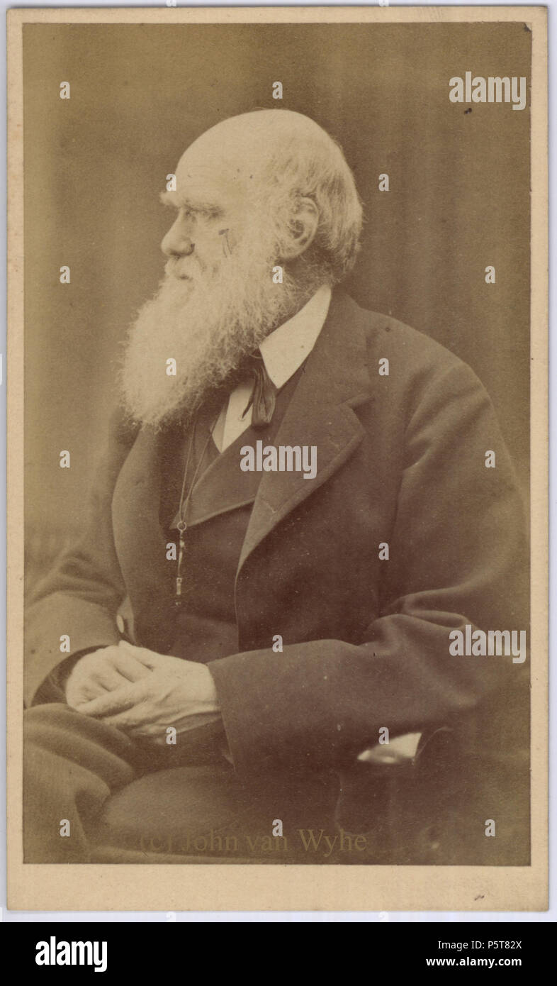 Deutsch: Charles Darwin English: Charles Darwin  circa 1871. N/A 325 Charles Darwin photograph by Oscar Rejlander, circa 1871 Stock Photo