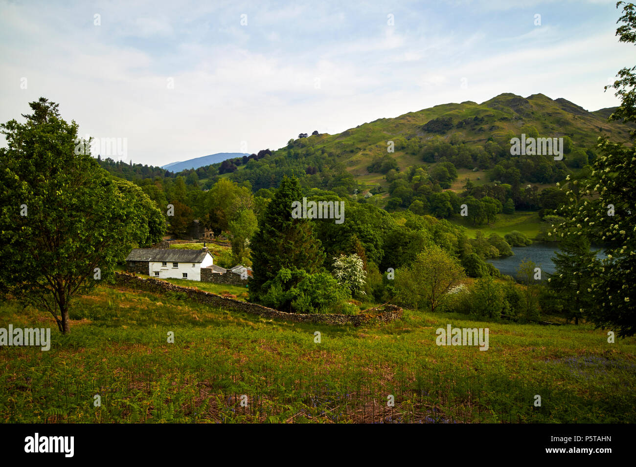 farmhouse and surrounding countryside at loughrigg fell and loughrigg tarn near ambleside lake district cumbria england uk Stock Photo