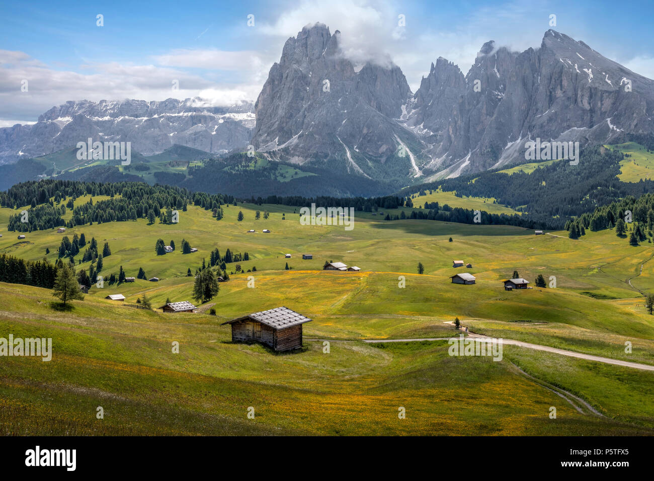 Ortisei, Alpe di Siusi, Dolomites, Trentino, Alto Adige, Italy, Europe  Stock Photo - Alamy