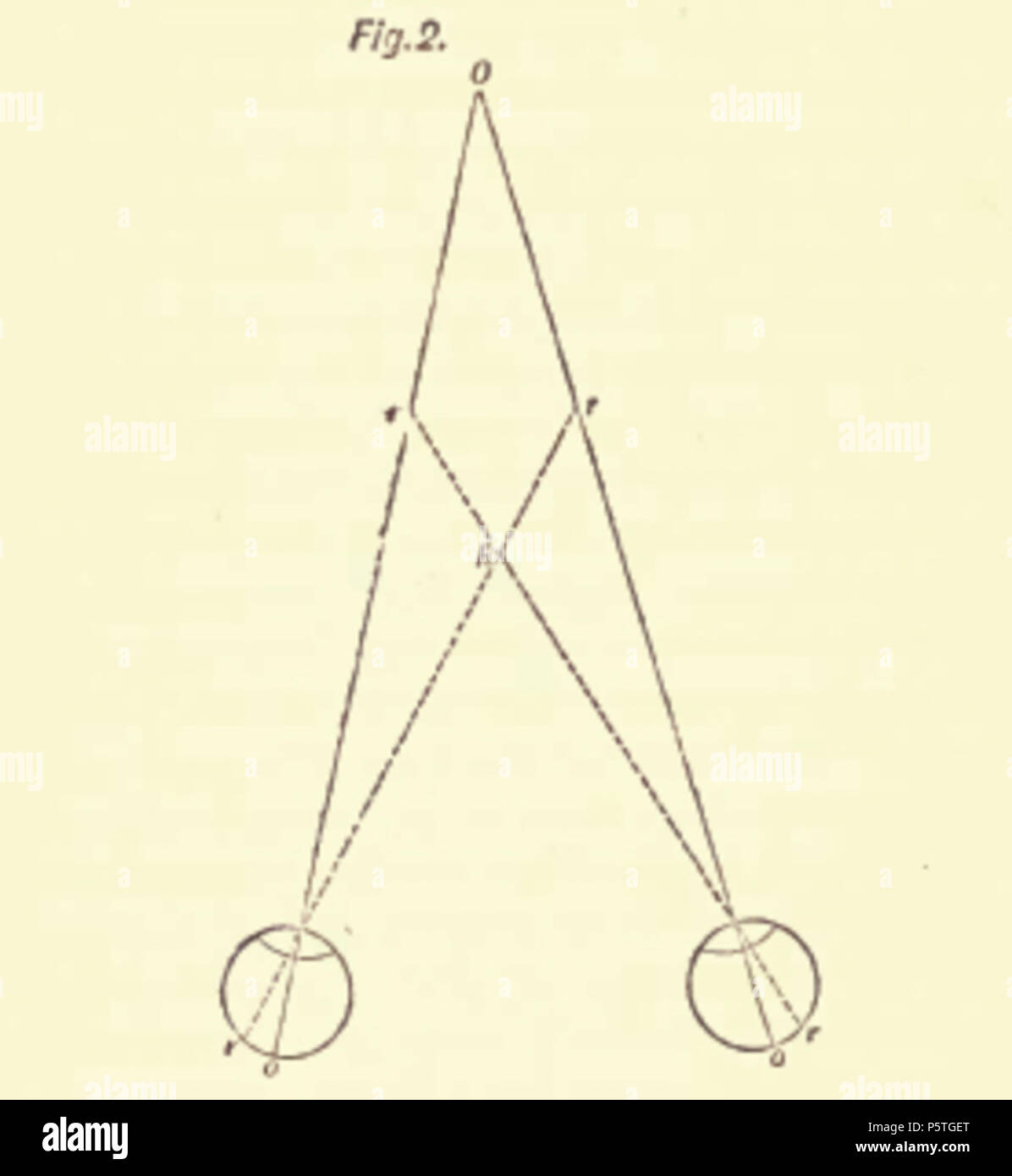N/A. Figure 2 from 'The Fourfold Root of the Principle of Sufficient Reason' by Arthur Schopenhauer . 1813. Arthur Schopenhauer (1788–1860) Alternative names Schopenhauer; Shopenhauer Description university teacher, philosopher, writer, musicologist and French moralist Date of birth/death 22 February 1788 21 September 1860 Location of birth/death Gdask Frankfurt Authority control : Q38193 VIAF:17229367 ISNI:0000 0001 2122 233X LCCN:n80032764 NLA:35482614 MusicBrainz:852f26a1-228b-4908-b787-5e1a4887610b WorldCat 40 4Fold Root Figure 2 Stock Photo