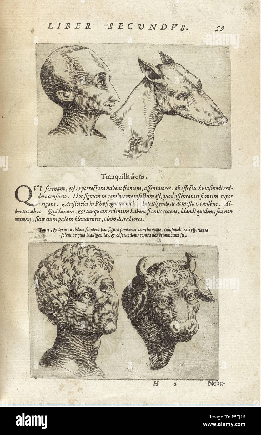 N/A. English: De humana physiognomonia libri IIII (1586) by Giambattista della Porta, page 59. 1586. Unknown 421 De humana physiognomonia libri IIII - NLM ...