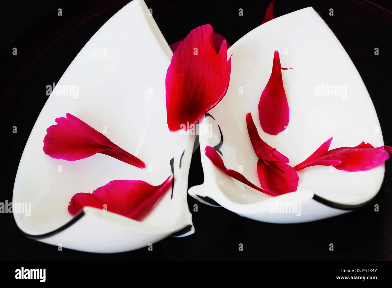 Close up of a broken white ceramic plate on black background with red crumbled flower petals. Concept for divorce, relationships, friendships Stock Photo