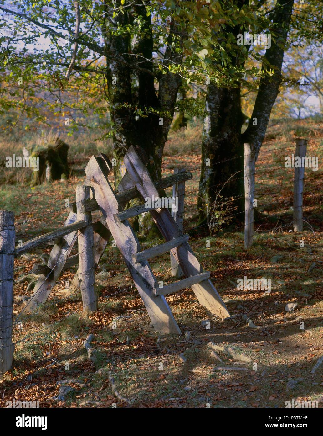 ESCALERA DE MADERA PARA ENTRAR A UN CERCADO. Location: EXTERIOR, VALLE DE BAZTAN, NAVARRA, SPAIN. Stock Photo