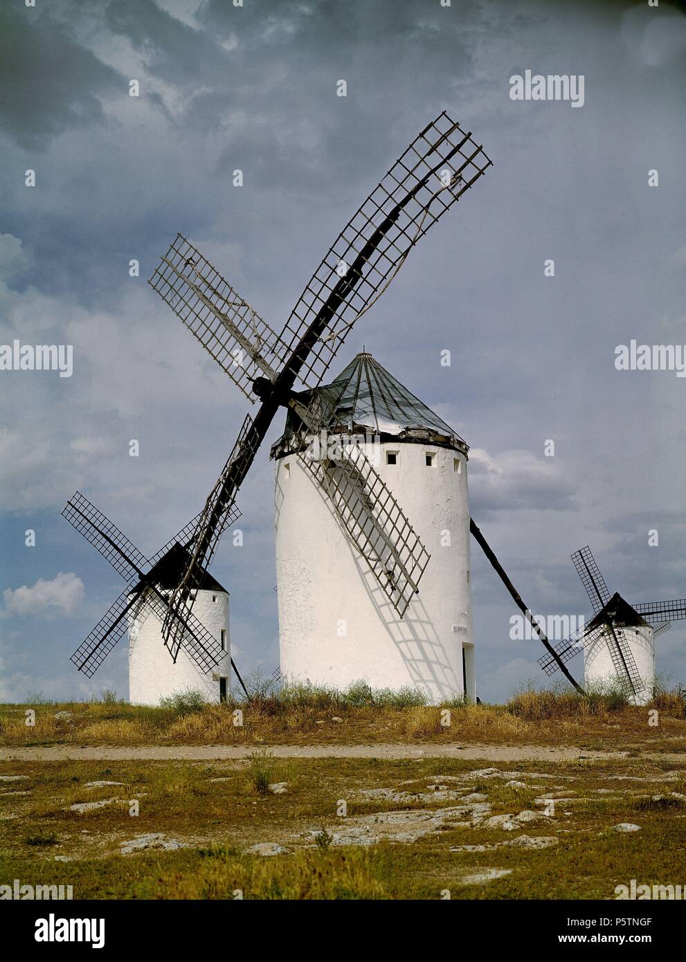 Las Amapolas Y El Molino De Viento Imagen De Archivo - Imagen De