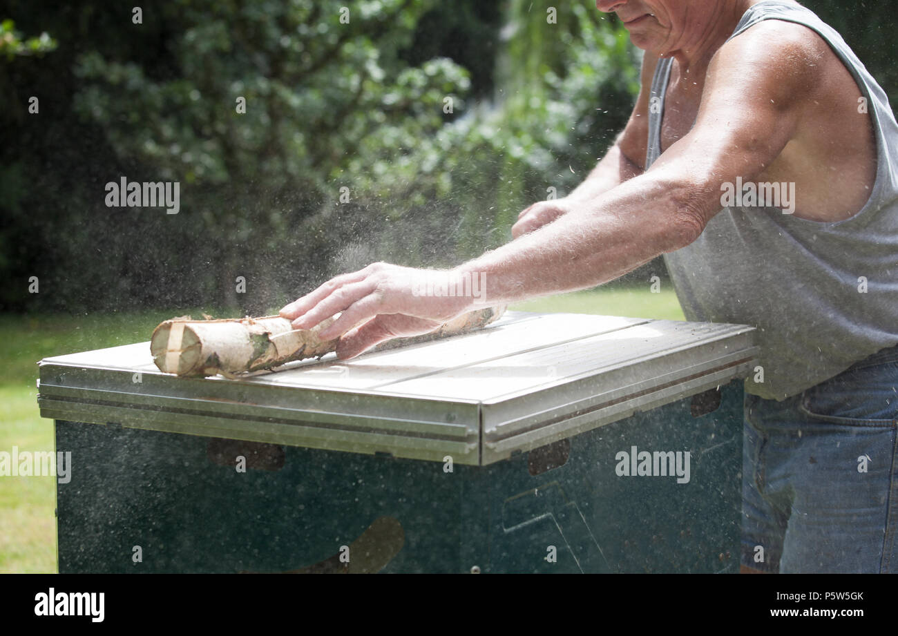 Senior schneidet Holz mit der Kreissäge, elderly person works with wood, Stock Photo