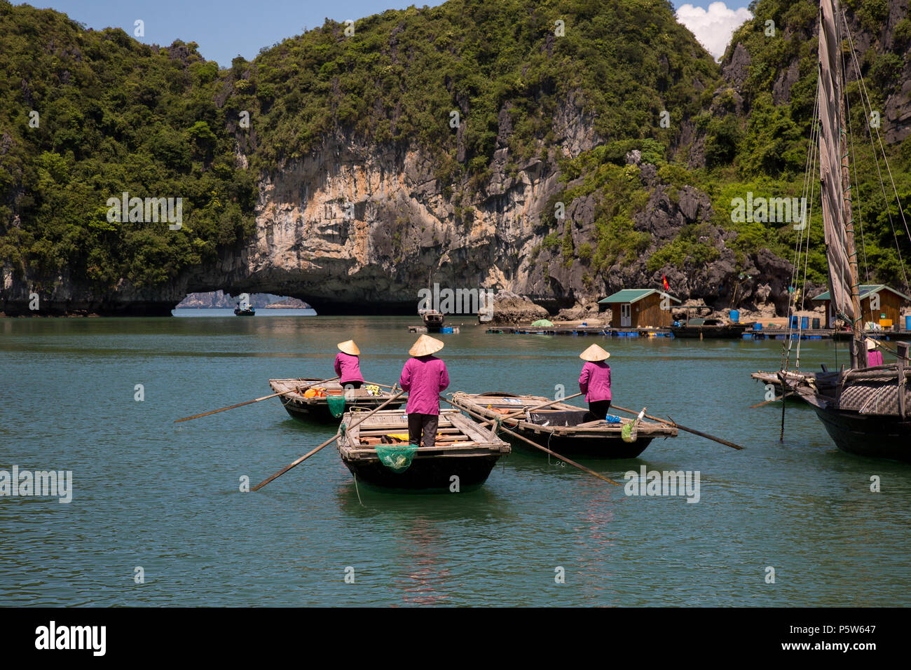 Women rowing tour boats in Bai Tu Long Bay, Vietnam. Stock Photo