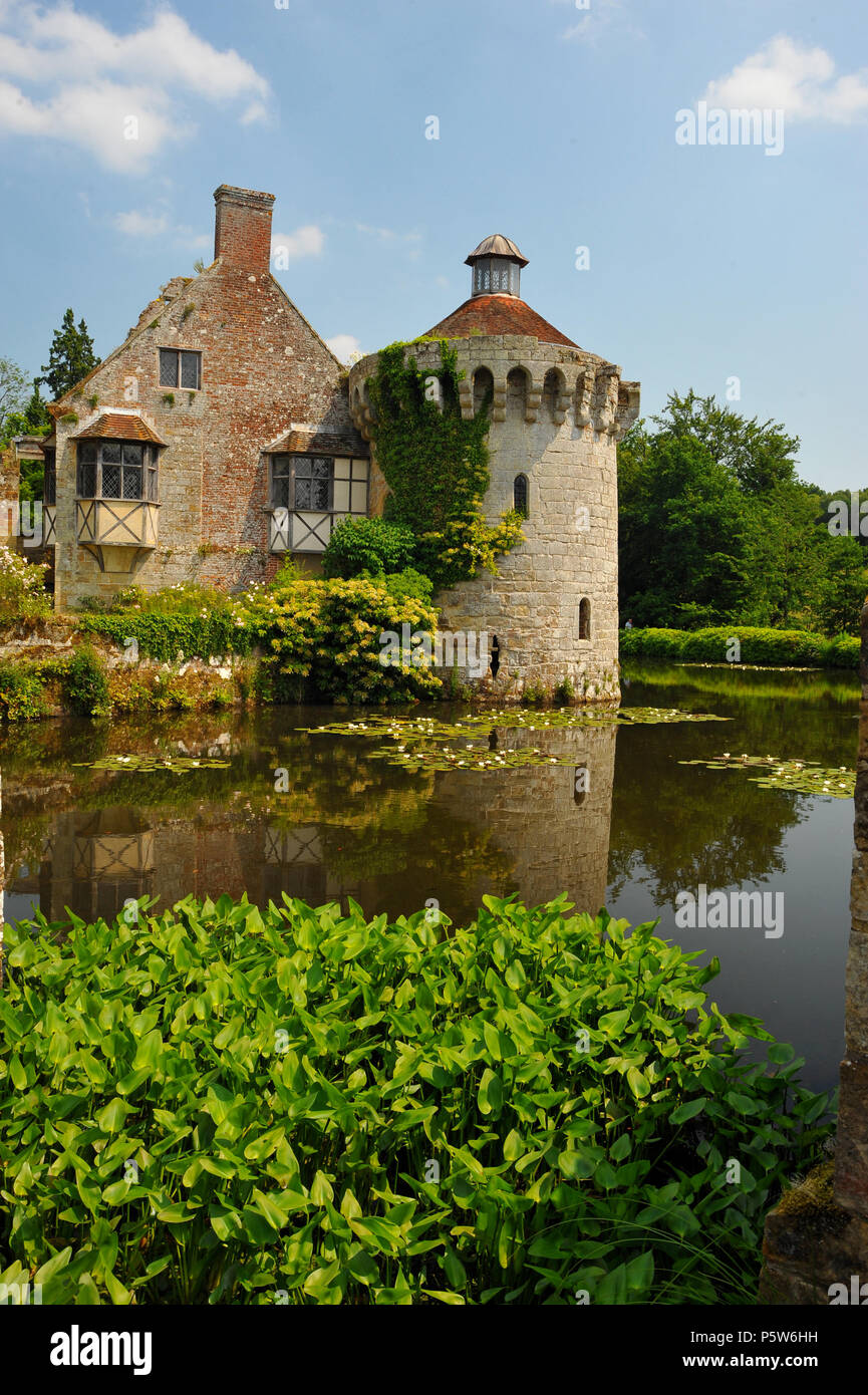 Are Dogs Allowed At Scotney Castle
