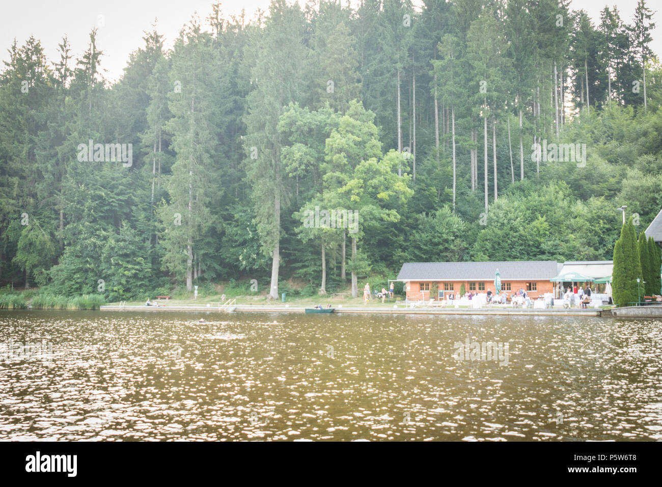 A lake in the middle of the forest Stock Photo - Alamy