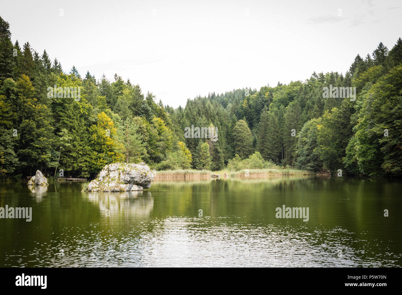 A lake in the middle of the forest Stock Photo - Alamy