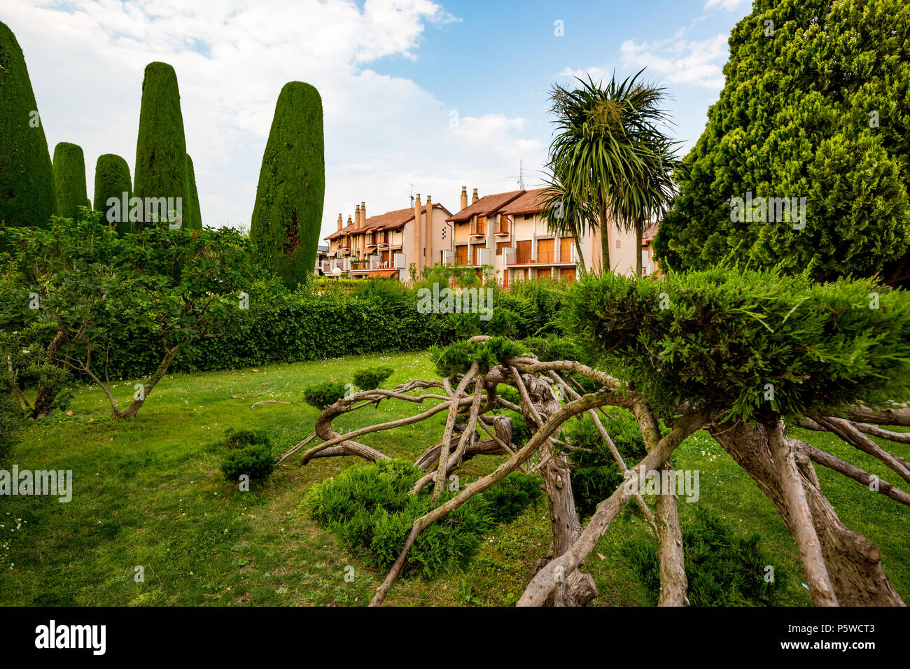 Public city park with several strangely shaped cypress trees in Sirmione next to lake Lago di Garda, Italy Stock Photo